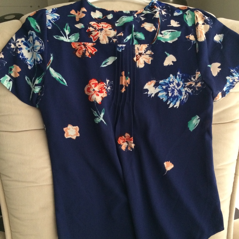 Daniel Rainn work blouse PS